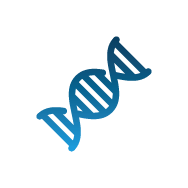 Representation of genetic predisposition as a cause for restless legs