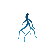 Reprezentarea eredității ca factori de risc pentru vene varicoase